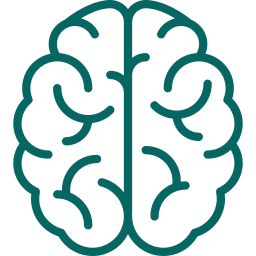 Simple green line drawing of a human brain, viewed from above, showing the symmetrical curves and folds of the brain’s surface against a white background.